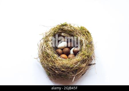 Echtes Vogelnest und gefälschte Eier. Selektive Fokusnest. Weißer Hintergrund isoliert. Stockfoto