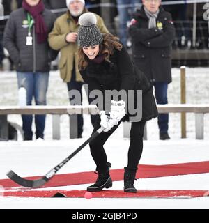 STOCKHOLM 2018-01-30 der Herzog von Cambridge, Prinz William, und die Herzogin von Cambridge, Catherine, werden am Dienstag im Zentrum von Stockholm, Schweden, mit dem Sport Bandy vertraut gemacht. Das britische Königspaar ist auf einem zweitägigen offiziellen Besuch in Schweden. Jonas Ekstromer / TT-Code 10030 Stockfoto