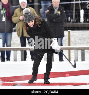 STOCKHOLM 2018-01-30 der Herzog von Cambridge, Prinz William, und die Herzogin von Cambridge, Catherine, werden am Dienstag im Zentrum von Stockholm, Schweden, mit dem Sport Bandy vertraut gemacht. Das britische Königspaar ist auf einem zweitägigen offiziellen Besuch in Schweden. Jonas Ekstromer / TT-Code 10030 Stockfoto