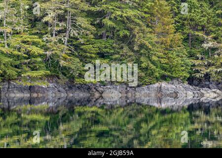 USA, Alaska, Tongass National Forest. Bewaldete Küste der Insel Chichagof. Kredit als: Don Paulson / Jaynes Gallery / DanitaDelimont.com Stockfoto