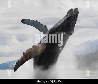 USA, Alaska, Juneau. Bronze Alaska Whale Skulptur von durchbrechenden Buckel und Brunnen Spray. Kredit als: Don Paulson / Jaynes Gallery / DanitaDelimont. Stockfoto