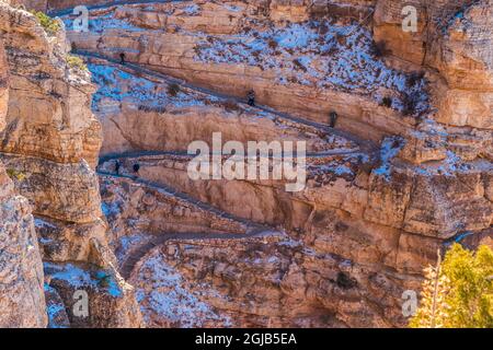 Wanderer auf den Serpentinen des South Kaibab Trail, Grand Canyon National Park, Arizona, USA Stockfoto