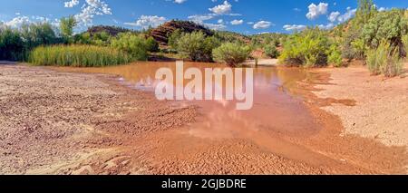 Ein giftiger Teich, der sich aus dem Regen bildete, der von den Bergrückständen einer verlassenen Kupfermine im Prescott National Forest in der Nähe von Perkinsville AZ ablief. Stockfoto