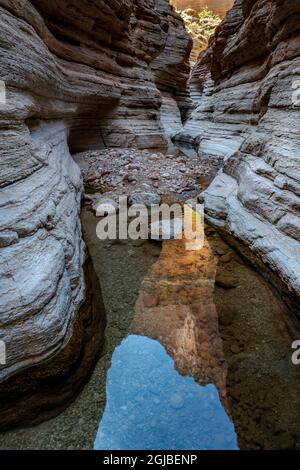 USA, Arizona. Reflexionen im Matkatamiba Canyon, Grand Canyon National Park. Stockfoto