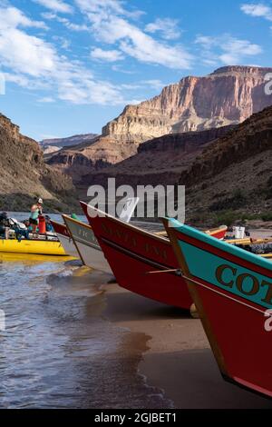 USA, Arizona. Auf dem Colorado River, dem Grand Canyon National Park, wurden Tories und Flöße befahren. (Nur Für Redaktionelle Zwecke) Stockfoto