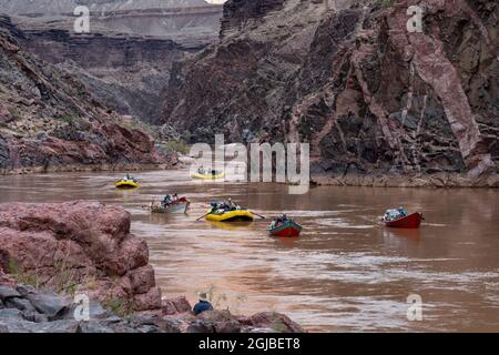 USA, Arizona. Auf dem Colorado River, dem Grand Canyon National Park, schwimmende Tories und Flöße. (Nur Für Redaktionelle Zwecke) Stockfoto