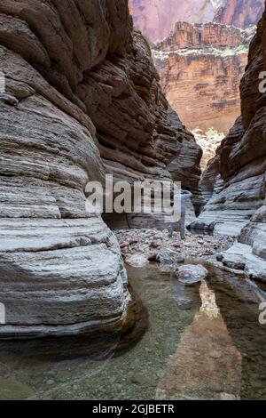 USA, Arizona. Fotograf, der geologische Formationen, den Matkatamiba Canyon, Wanderungen vom Colorado River und den Grand Canyon National Park einfängt. Stockfoto