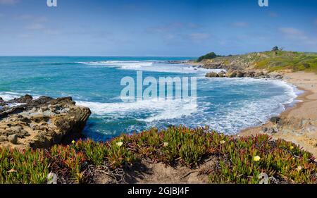 Strand, Fitzgerald Marine Reserve, Kalifornien, USA Stockfoto