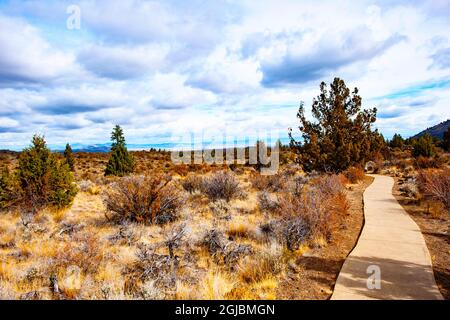 USA, Kalifornien. Lava Beds National Monument, Cave Pathway Stockfoto