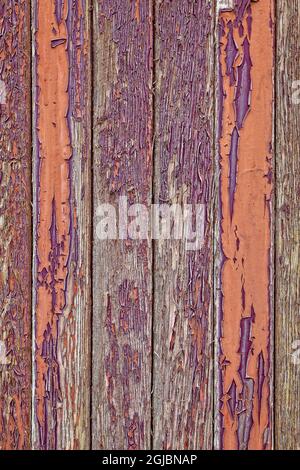 USA, Kalifornien, Bischof. Detail der abblätternden Farbe auf der Seite des Kastenwagens im Laws Railroad Museum. Kredit als: Dennis Flaherty / Jaynes Gallery / DanitaDelim Stockfoto