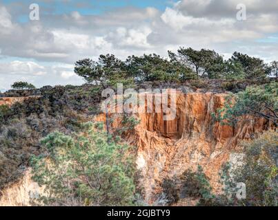 USA, Kalifornien, San Diego. Klippen des Torrey Pines State Natural Reserve in La Jolla. Stockfoto