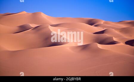 USA, Kalifornien. Glatte, rote Dünen des Erholungsgebiets Algodones Dunes, auch bekannt als Imperial Sand Dunes. Stockfoto