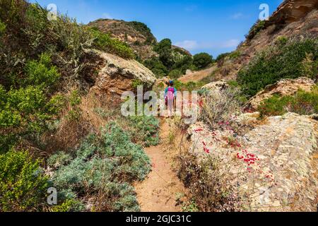 Wanderer im Lobo Canyon, Santa Rosa Island, Channel Islands National Park, Kalifornien, USA. Stockfoto