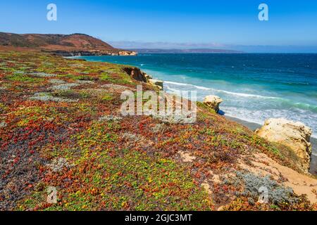 Skunk Point, Santa Rosa Island, Channel Islands National Park, Kalifornien, USA. Stockfoto