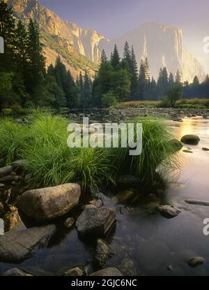 Der Merced River fließt durch den Yosemite National Park in Kalifornien Stockfoto