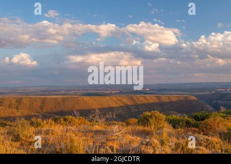 USA, Colorado, Mesa Verde National Park, Abendlicht wärmt die karge mesa- und Canyon-Topographie; Blick südöstlich vom North Rim unterhalb des Park Point. Stockfoto