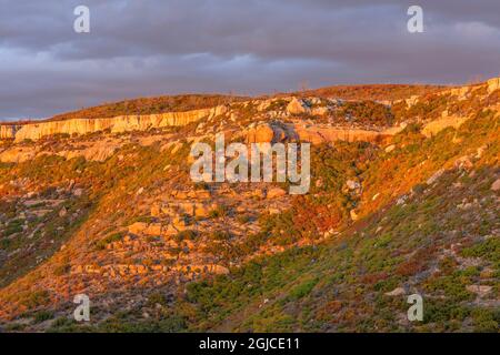 USA, Colorado, Mesa Verde National Park, Sonnenuntergang Licht auf Herbst farbige Gambel Eichen an Hängen mit Sandsteinfelsen; in der Nähe von Prater Ridge. Stockfoto