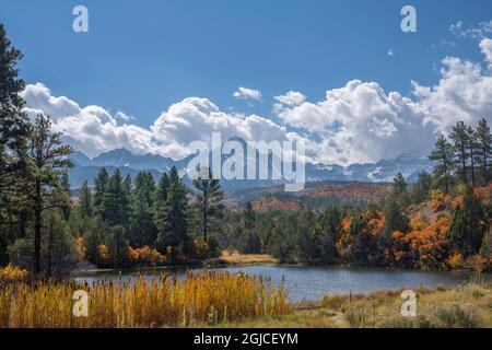 USA, Colorado, San Juan Mountains, Uncompahgre National Forest, Teich mit herbstfarbenem Laub und entfernten Gipfeln der Sneffels Range. Stockfoto