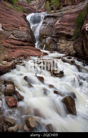 USA, Colorado. Moos und Flechten bedecken Felsen, die einen kaskadierenden Gebirgsbach im Süden Colorados in der Nähe von Durango säumen. Stockfoto