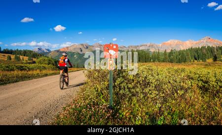 Mountainbiker auf dem Galopp Goose Trail, Uncompahgre National Forest, Colorado, USA. (MR) Stockfoto