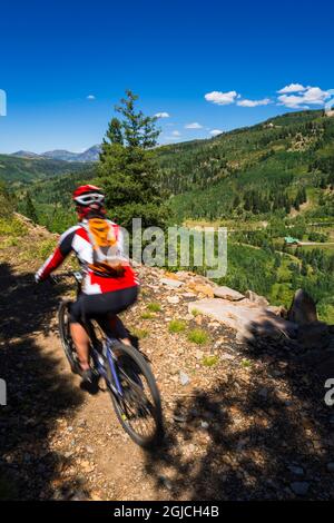 Mountainbiker auf dem Galopp Goose Trail, Uncompahgre National Forest, Colorado, USA. (MR) Stockfoto