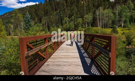 Mountainbiker über eine Brücke auf dem Galopp Goose Trail, Uncompahgre National Forest, Colorado, USA. (MR) Stockfoto