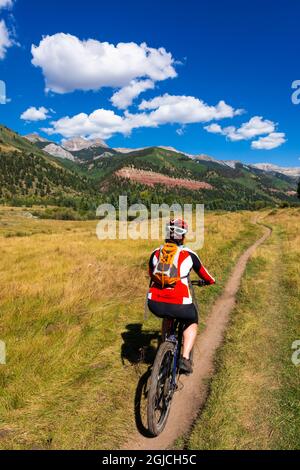 Mountainbiker auf dem Galopp Goose Trail, Uncompahgre National Forest, Telluride, Colorado, USA. (MR) Stockfoto