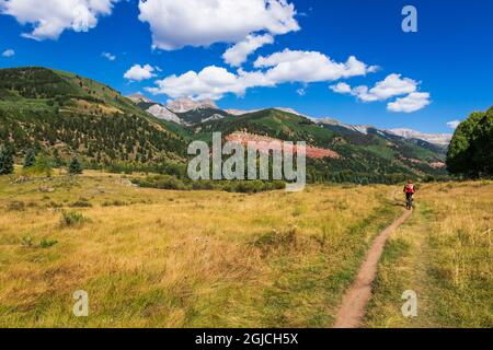 Mountainbiker auf dem Galopp Goose Trail, Uncompahgre National Forest, Telluride, Colorado, USA. (MR) Stockfoto