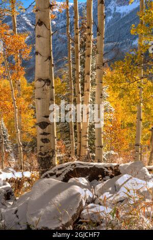 In den Rocky Mountains von Colorado mit Aspen und schneebedeckten Gipfeln wird der Herbst zum Winter Stockfoto