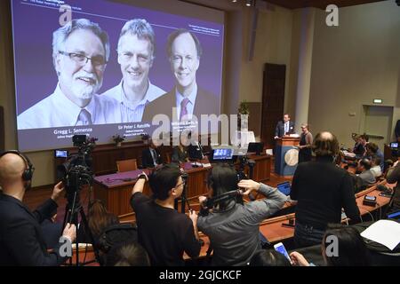 Thomas Perlmann (ganz rechts), Generalsekretär des Nobel-Komitees, stellt die Nobelpreisträger des diesjährigen Nobelpreises für Medizin am 07. Oktober 2019 auf einer Pressekonferenz in Stockholm, Schweden, vor. Der Nobelpreis für Medizin geht an (L-R auf der Leinwand) Gregg L. Semenza, Sir Peter J. Ratcliffe und William G. Kaelin Jr. Foto: Pontus Lundahl / TT / Code 10050 Stockfoto