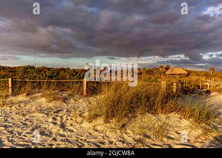 Bowman's Beach auf Sanibel Island, Florida, USA. Stockfoto