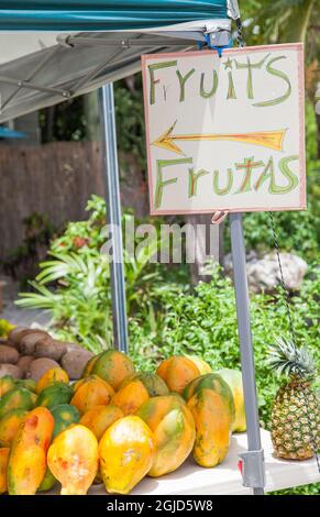 Der Rain Barrel Souvenirshop und Künstlerviertel auf Islamorada in den Florida Keys. Stockfoto