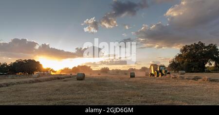 USA, Florida. Rollendes Heu bei Sonnenuntergang, Sumter County. Stockfoto