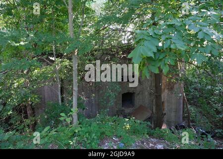 Anusin, Siemiatycze, Polen - 12. Juli 2021: Molotow-Linie, gebaut von der Sowjetunion in der Zeit von 1940-1941 (russische Verteidigungslinie). Bunker Stockfoto