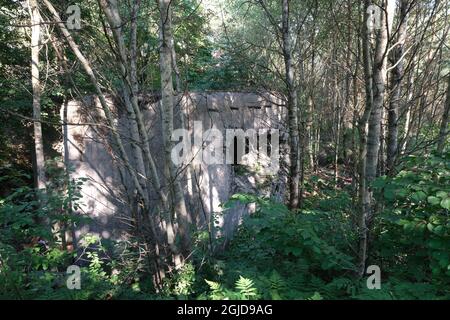 Anusin, Siemiatycze, Polen - 12. Juli 2021: Molotow-Linie, gebaut von der Sowjetunion in der Zeit von 1940-1941 (russische Verteidigungslinie). Bunker Stockfoto