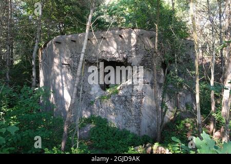 Anusin, Siemiatycze, Polen - 12. Juli 2021: Molotow-Linie, gebaut von der Sowjetunion in der Zeit von 1940-1941 (russische Verteidigungslinie). Bunker Stockfoto