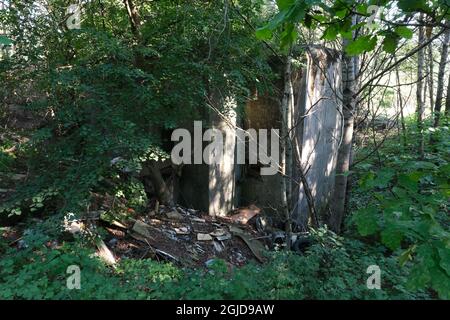 Anusin, Siemiatycze, Polen - 12. Juli 2021: Molotow-Linie, gebaut von der Sowjetunion in der Zeit von 1940-1941 (russische Verteidigungslinie). Bunker Stockfoto