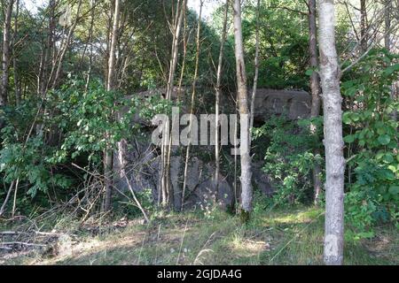 Anusin, Siemiatycze, Polen - 12. Juli 2021: Molotow-Linie, gebaut von der Sowjetunion in der Zeit von 1940-1941 (russische Verteidigungslinie). Bunker Stockfoto