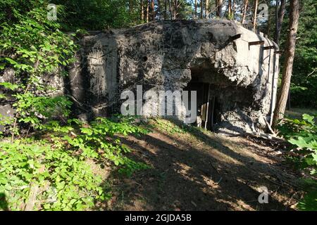 Anusin, Siemiatycze, Polen - 12. Juli 2021: Molotow-Linie, gebaut von der Sowjetunion in der Zeit von 1940-1941 (russische Verteidigungslinie). Bunker Stockfoto