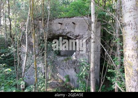 Anusin, Siemiatycze, Polen - 12. Juli 2021: Molotow-Linie, gebaut von der Sowjetunion in der Zeit von 1940-1941 (russische Verteidigungslinie). Bunker Stockfoto