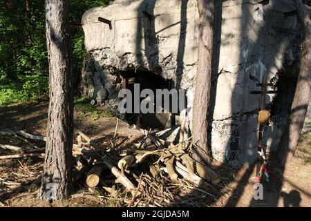 Anusin, Siemiatycze, Polen - 12. Juli 2021: Molotow-Linie, gebaut von der Sowjetunion in der Zeit von 1940-1941 (russische Verteidigungslinie). Bunker Stockfoto