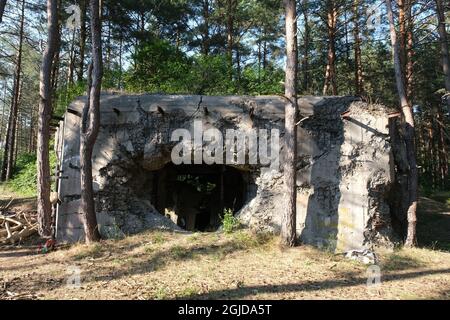 Anusin, Siemiatycze, Polen - 12. Juli 2021: Molotow-Linie, gebaut von der Sowjetunion in der Zeit von 1940-1941 (russische Verteidigungslinie). Bunker Stockfoto