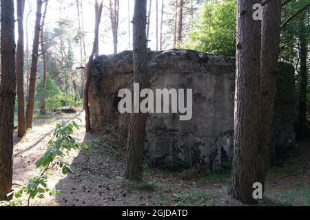 Anusin, Siemiatycze, Polen - 12. Juli 2021: Molotow-Linie, gebaut von der Sowjetunion in der Zeit von 1940-1941 (russische Verteidigungslinie). Bunker Stockfoto