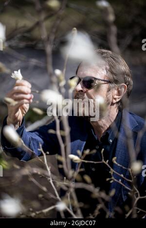 Bjorn Ulvaeus, Songwriter, Produzent und ehemaliges Mitglied der schwedischen Musikgruppe ABBA, interviewte Dagens Nyheter vor seinem 75. Geburtstag. Picture: Bjorn Ulvaeus in seinem Haus auf der Privatinsel Vagaskar, Djursholm bei Stockholm, Schweden, 16. April 2020. Foto: Alexander Mahmoud / DN / TT / Code 3524 Stockfoto