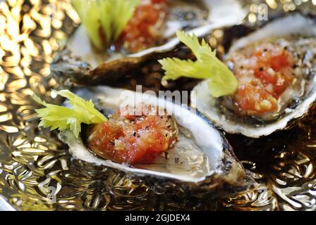 Austern mit Blutiger Mary-Vinaigrette. Stockfoto