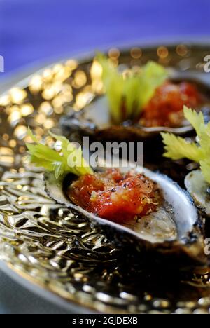 Austern mit Blutiger Mary-Vinaigrette. Stockfoto