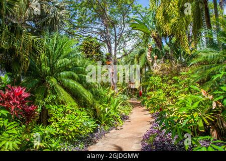 USA, Hawaii, Kauai Allerton Gardens Poipu Stockfoto