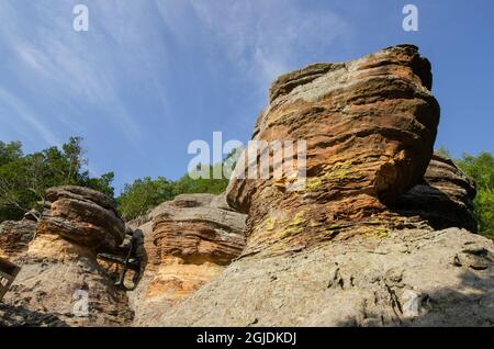 Garden of the Gods Recreation Area, Shawnee National Forest, Illinois. Stockfoto