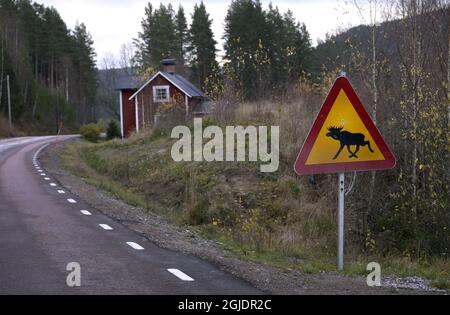 Ein Elchwarnschild auf einer Landstraße in der Nähe von Torsby in Varmland, Schweden. Foto Janerik Henriksson / TT-Code 10010 Stockfoto