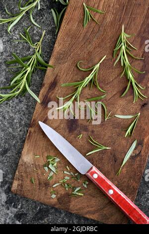 Rosemary Foto Janerik Henriksson / TT Code 10010 Stockfoto